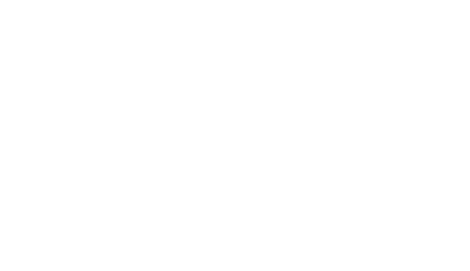 PARKSIDE logo